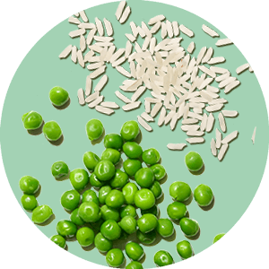 Erbsen- und Reisprotein