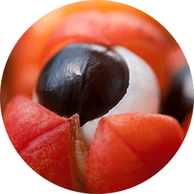 Kleine Beere. Große Augen. Energie direkt aus der Natur.
