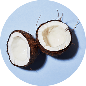 Cococnut Crisp-Geschmack