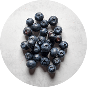 Gefriergetrocknete Heidelbeeren