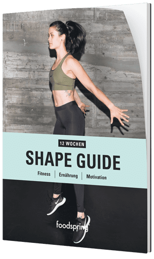 Shape Guide