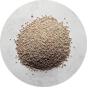 Chia Samen